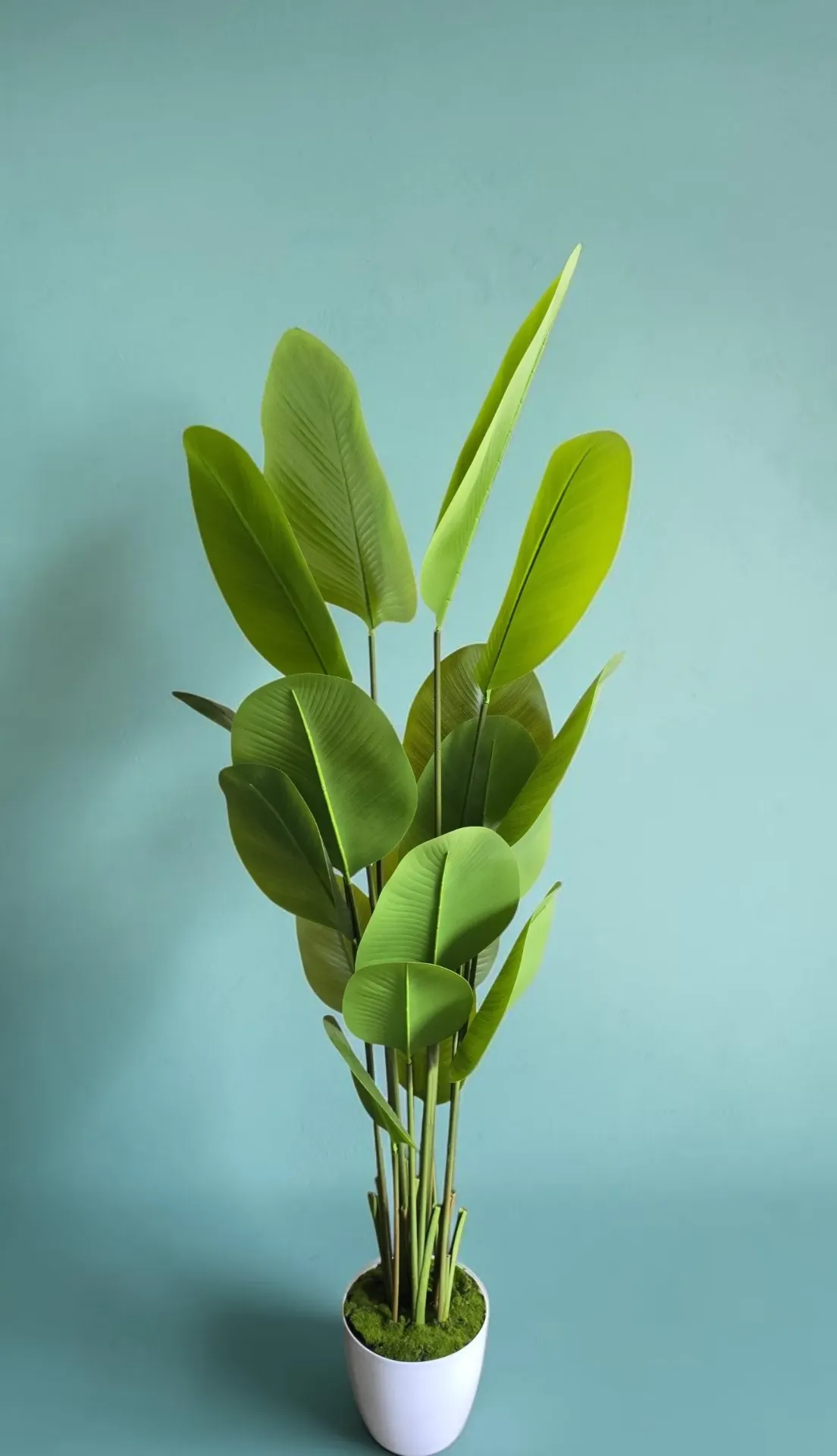 [RFFL HELC PLNT A119] Realistic Heliconia Plant