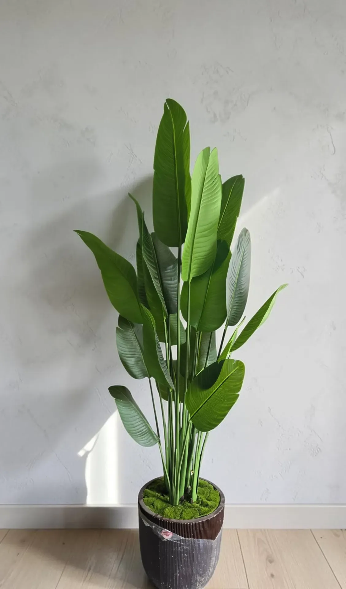 Realistic BOP Plant