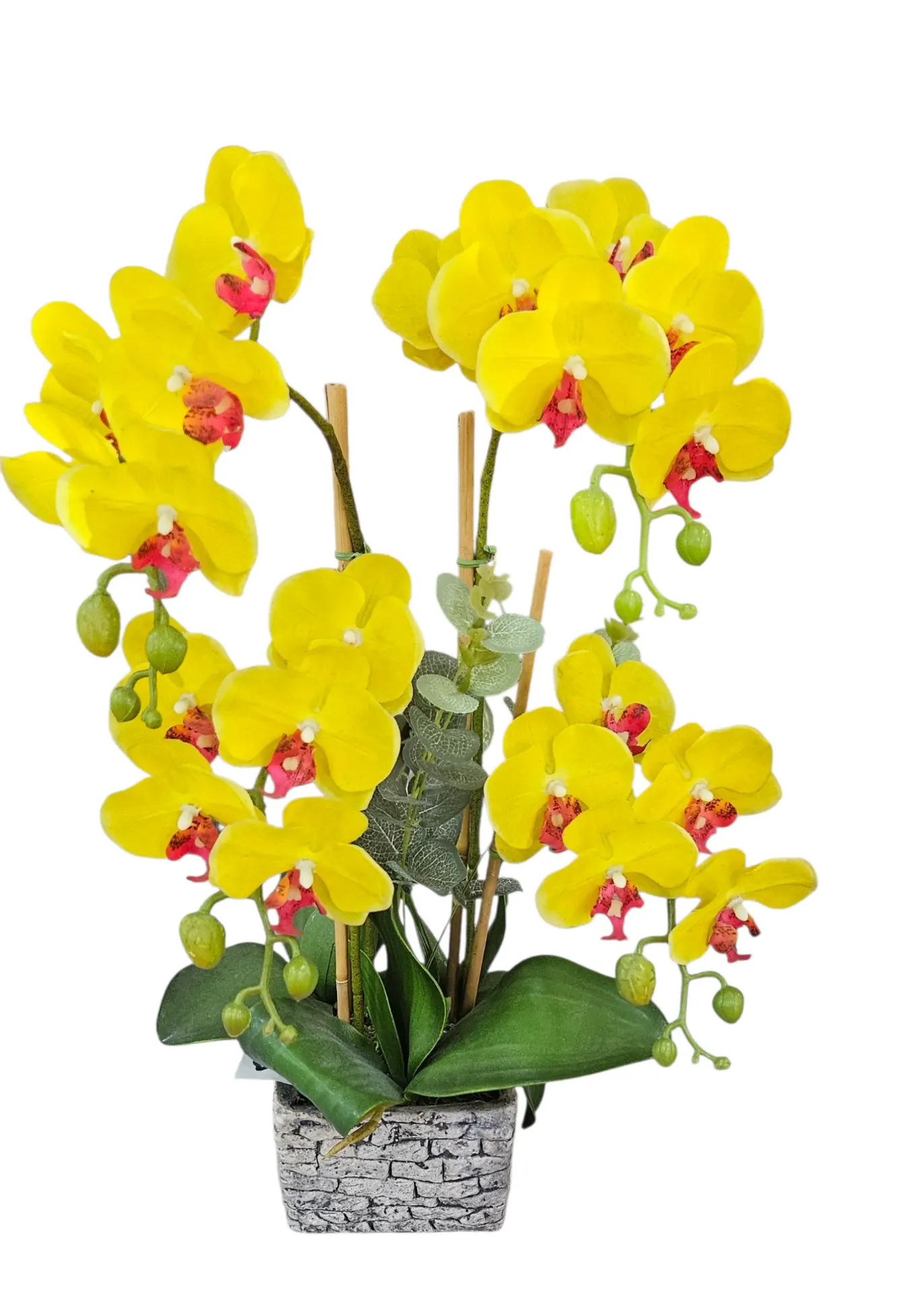 Realistic Arrangement Orchid in pot