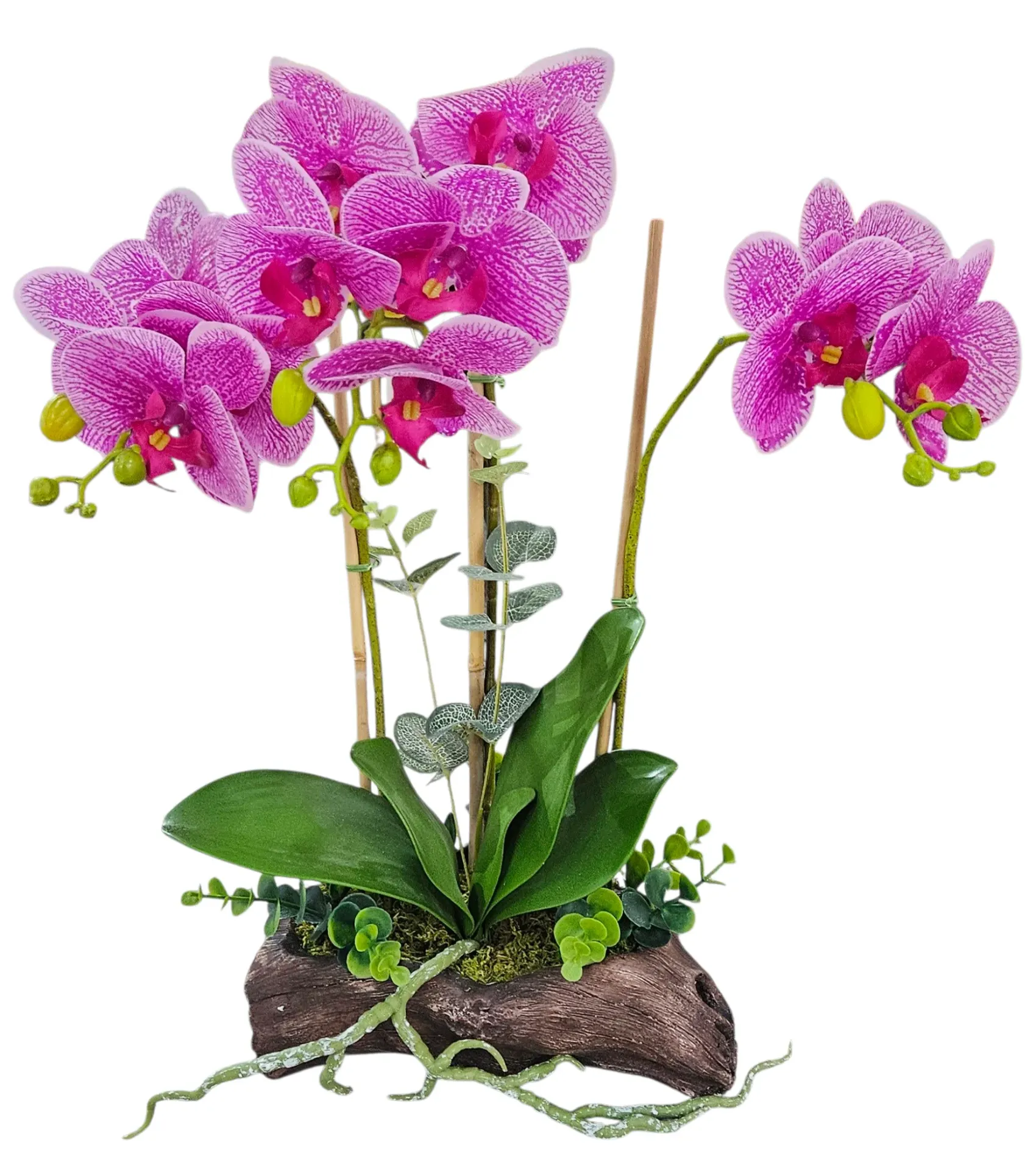 Realistic Arrangement Orchid on log
