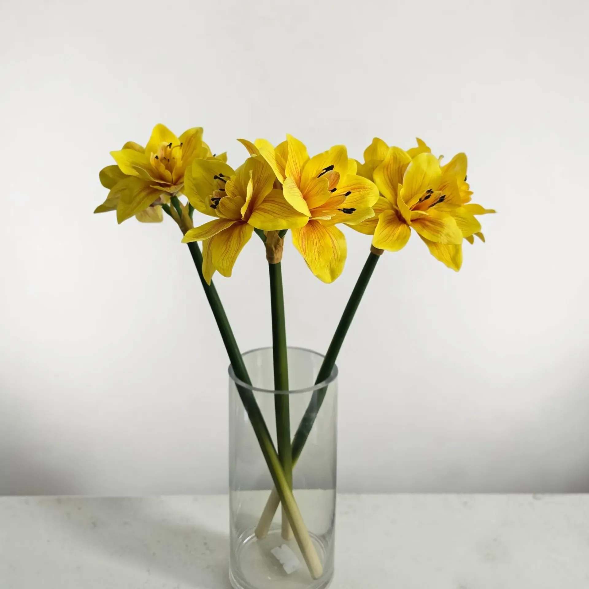 Realistic Amaryllis Lilly