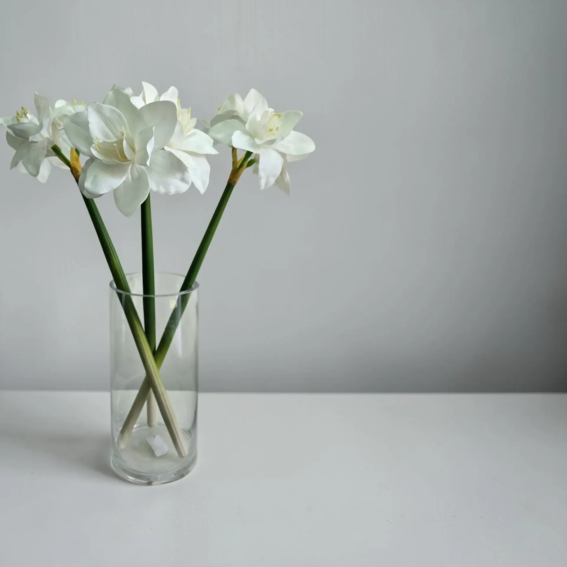 Realistic Amaryllis Lilly