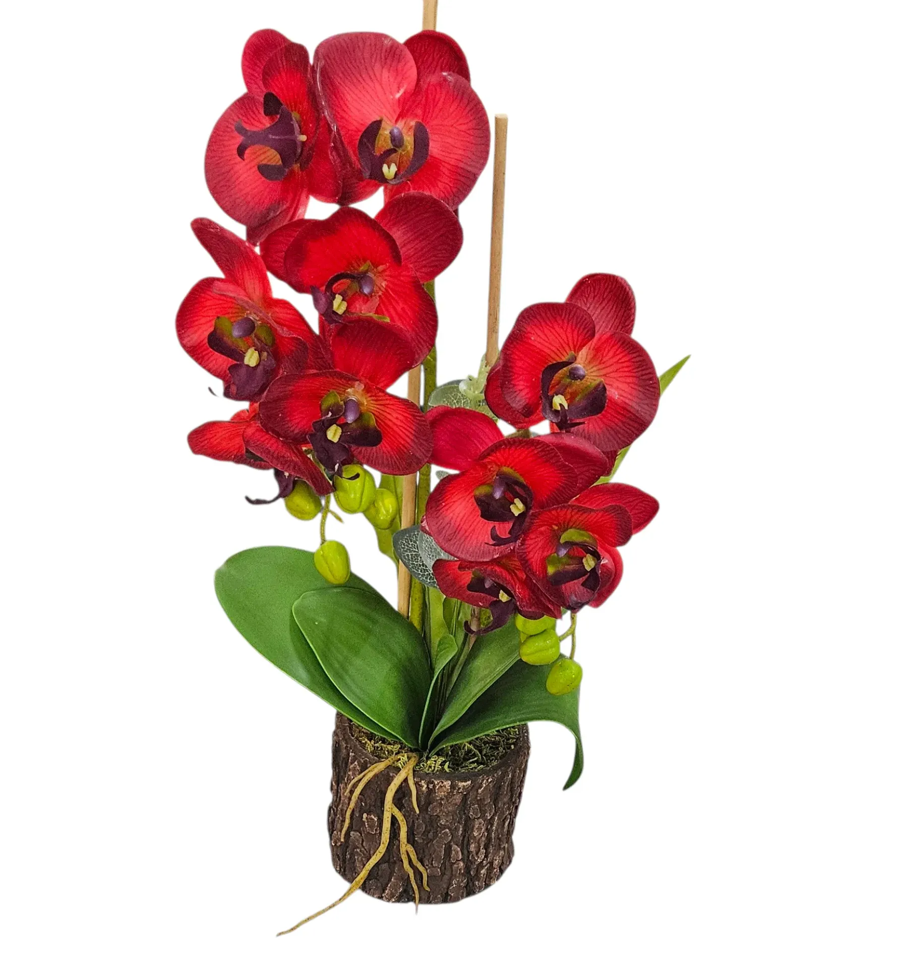 Realistic Arrangement Orchid in rdlog